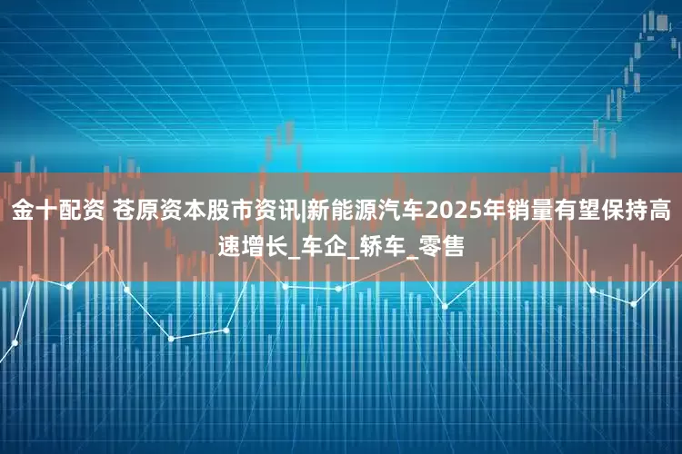 金十配资 苍原资本股市资讯|新能源汽车2025年销量有望保持高速增长_车企_轿车_零售