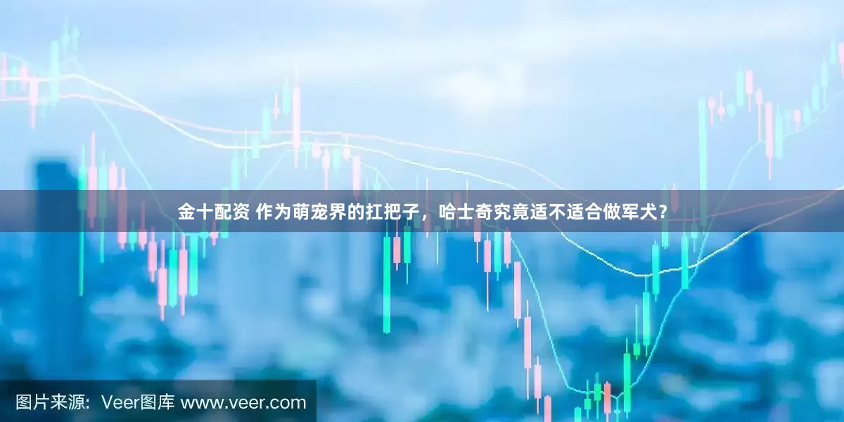 金十配资 作为萌宠界的扛把子，哈士奇究竟适不适合做军犬？